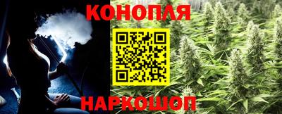 прущие грибы Бугуруслан